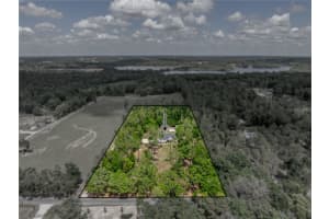 31187 REED ROAD, DADE CITY, FL 33523 Sold 05/19/25