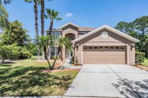 19139 Cypress Reach Ln, TAMPA