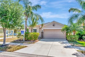 1505 TRAILWATER STREET, RUSKIN, FL 33570 - MLS#MFRTB8374108