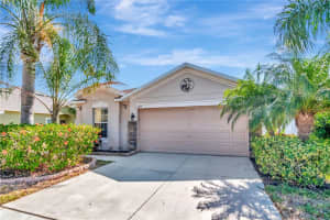 1505 TRAILWATER STREET, RUSKIN, FL 33570 - MLS#MFRTB8374108