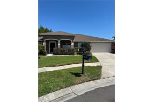 3913 LITTLE EGRET COURT, LUTZ, FL 33558 Sold 07/25/25