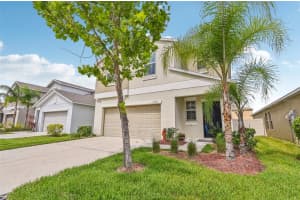 17331 WHITE MANGROVE DRIVE, WIMAUMA, FL 33598 - MLS#MFRTB8374217