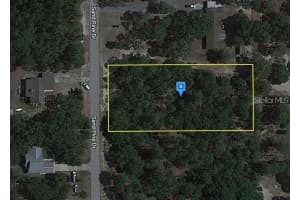 18212 SAND PINE DR, SPRING HILL, FL 34610 Sold 05/16/25