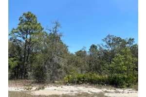 18212 SAND PINE DR, SPRING HILL, FL 34610 Sold 05/16/25