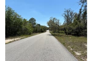 18212 SAND PINE DR, SPRING HILL, FL 34610 Sold 05/16/25