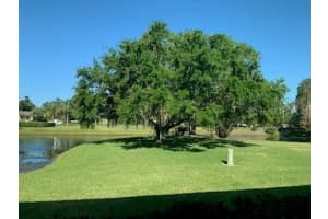 776 LAKEWOOD DRIVE, PALM HARBOR, FL 34684 - MLS#MFRTB8374245