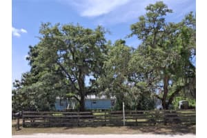 30630 TYNDALL ROAD, WESLEY CHAPEL, FL 33545 - MLS#MFRTB8374273