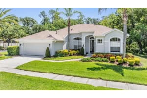 12802 STANWYCK CIRCLE, TAMPA, FL 33626 Sold 05/15/25
