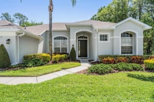 12802 STANWYCK CIRCLE, TAMPA, FL 33626 Sold 05/15/25