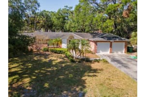4627 BROWNING AVENUE, TAMPA, FL 33629 Sold 08/01/25