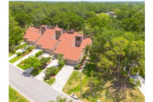 60 WOODRIDGE CIRCLE, OLDSMAR, FL 34677 - MLS#MFRTB8374329