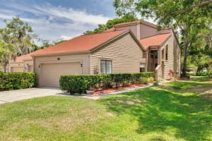 60 WOODRIDGE CIRCLE, OLDSMAR, FL 34677 - MLS#MFRTB8374329