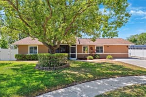 506 Spring Tree Ct, TARPON SPRINGS