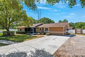 506 SPRING TREE COURT, TARPON SPRINGS, FL 34689 - MLS#MFRTB8374340