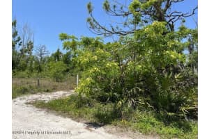 3714 MYERS LANE, ST JAMES CITY, FL 33956 - MLS#MFRTB8374375