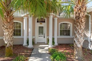 17 MYOSOTIS COURT, HOMOSASSA, FL 34446 - MLS#MFRTB8374445