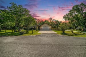 19635 PINE TREE ROAD, ODESSA, FL 33556 Sold 06/06/25