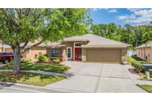 25324 Lexington Oaks Blvd, WESLEY CHAPEL