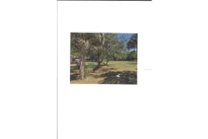 17335 EAGLE LANE, LUTZ, FL 33558 Sold 06/25/25