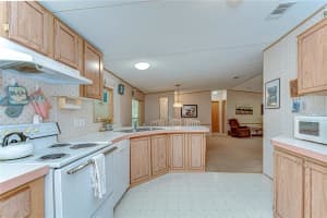 4041 LANE ROAD, ZEPHYRHILLS, FL 33541 - MLS#MFRTB8374601