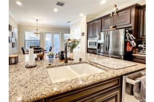 1509 AMARONE PLACE, LUTZ, FL 33548 - MLS#MFRTB8374666