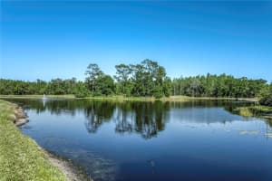 8116 SANGUINELLI ROAD, LAND O LAKES, FL 34637 - MLS#MFRTB8374700