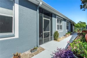 8116 SANGUINELLI ROAD, LAND O LAKES, FL 34637 - MLS#MFRTB8374700