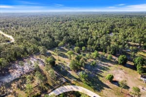 5555 MUSLIN TERRACE, DUNNELLON, FL 34433 - MLS#MFRTB8374838