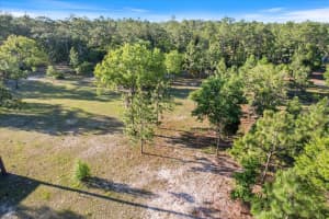 5555 MUSLIN TERRACE, DUNNELLON, FL 34433 - MLS#MFRTB8374838