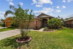 6006 Chellas Ct, LUTZ