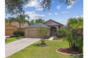 6006 CHELLAS COURT, LUTZ, FL 33558 - MLS#MFRTB8374883