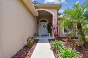 6006 CHELLAS COURT, LUTZ, FL 33558 - MLS#MFRTB8374883
