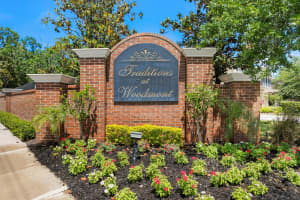 13312 TIGER LILLY LANE, TAMPA, FL 33625 Sold 06/30/25