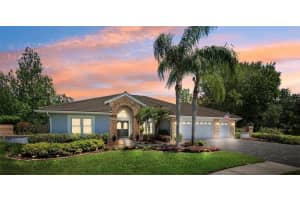 6901 ARABIAN ROAD, ODESSA, FL 33556 Sold 06/06/25