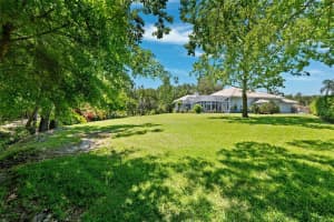 6901 ARABIAN ROAD, ODESSA, FL 33556 Sold 06/06/25