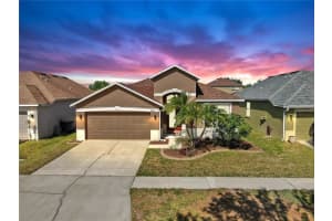 8603 Sandy Plains Dr, RIVERVIEW