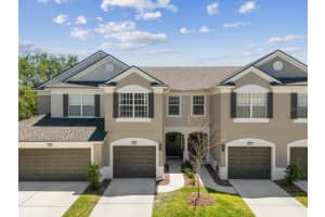 6910 ROCK SPRINGS WAY, TAMPA, FL 33625 Sold 07/29/25
