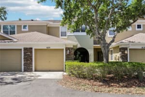8125 Stone Path Way, TAMPA