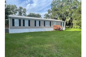 8585 CAREY ROAD, LITHIA, FL 33547 - MLS#MFRTB8375062