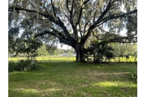 8585 CAREY ROAD, LITHIA, FL 33547 - MLS#MFRTB8375062