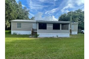8585 CAREY ROAD, LITHIA, FL 33547 - MLS#MFRTB8375062
