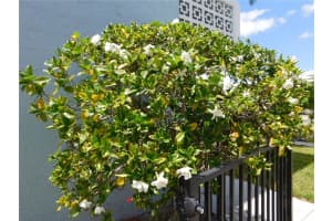 4715 BAY STREET, ST PETERSBURG, FL 33703 - MLS#MFRTB8375064