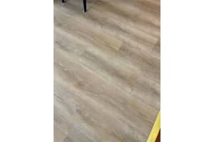 34661 CACTUS DRIVE, PINELLAS PARK, FL 33781 Sold 07/16/25