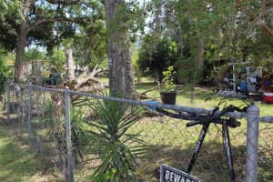 16309 14TH STREET, DADE CITY, FL 33523 - MLS#MFRTB8375080