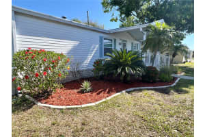 223 MOUNT PINEY AVENUE, ST PETERSBURG, FL 33702 - MLS#MFRTB8375094