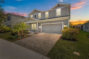 4528 Ballantrae Blvd, LAND O LAKES