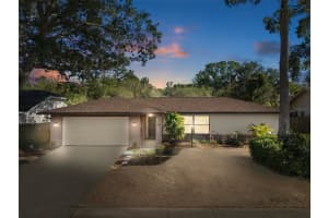 1003 RIFLECREST AVENUE, VALRICO, FL 33594 Sold 05/20/25