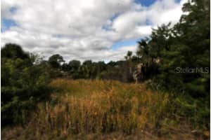 00 ANDRIS STREET, NORTH PORT, FL 34288 - MLS#MFRTB8375145