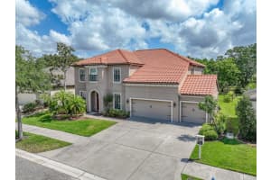 7927 Hampton Lake Dr, TAMPA
