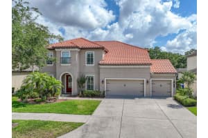 7927 HAMPTON LAKE DRIVE, TAMPA, FL 33647 - MLS#MFRTB8375210